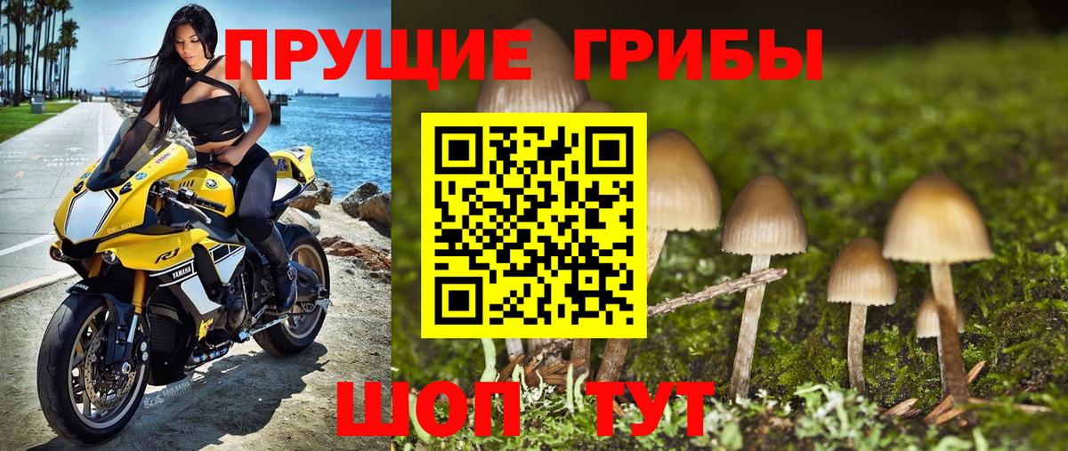Галлюциногенные грибы мицелий  цена наркотик  Магнитогорск  Вход с VPN  Галлюциногенные грибы MAGIC MUSHROOMS 