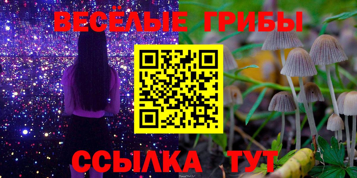 Псилоцибиновые грибы MAGIC MUSHROOMS Магнитогорск